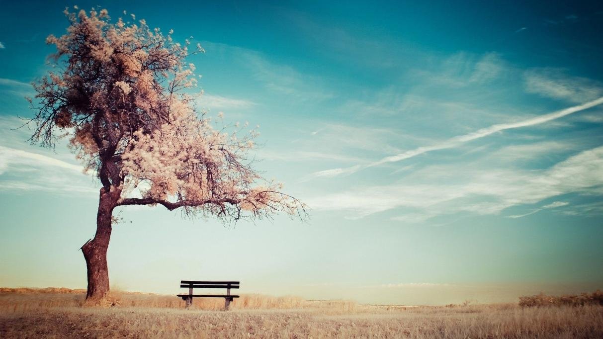 alone.jpg