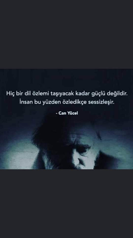 1580370459082.png