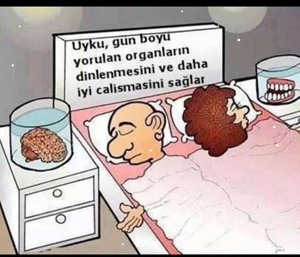 herkül.JPG herkül.JPG
