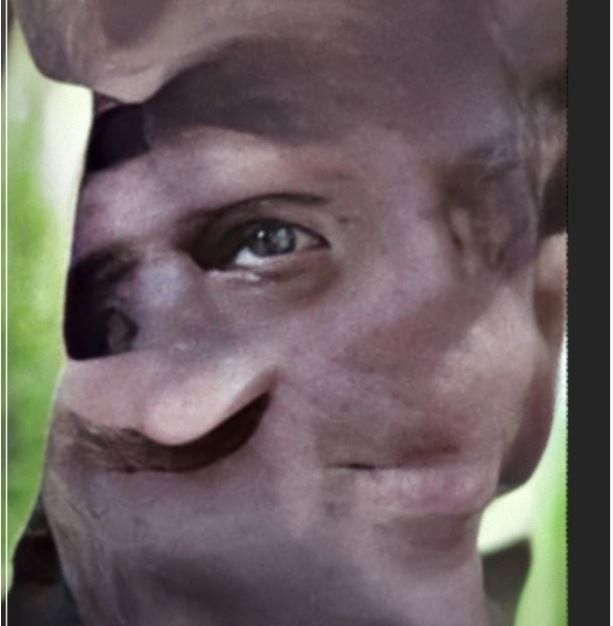 ne..jpg