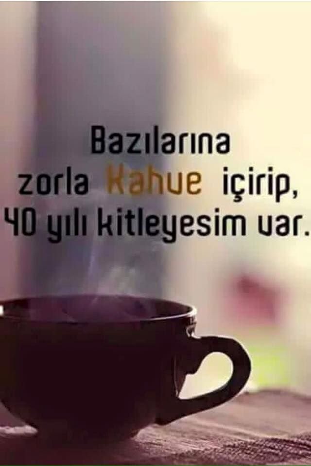 344c3829ea44315cbdd76528318bcd6d.jpg