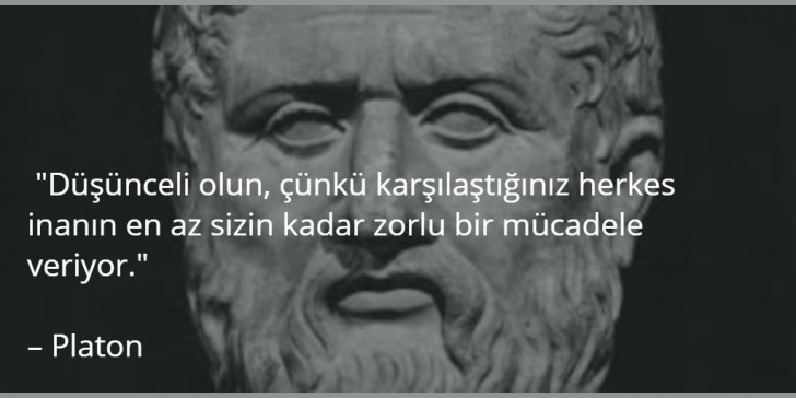 zg89.jpg