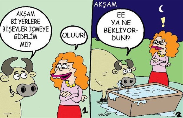 en-komik-karikaturler-304726.jpg