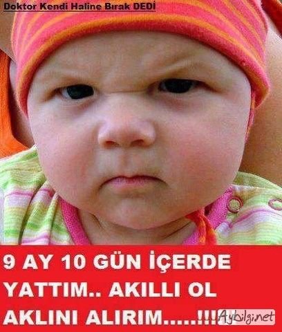 a64c35d5dc239ca7439558e4aafca82d.jpg