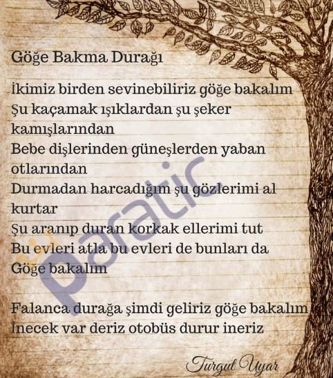 Turgut Uyar(Göge Bakma Durağı Şiiri).JPG
