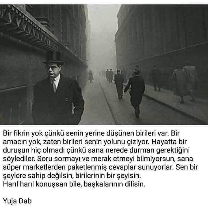 0b9c818a-bd08-42bb-bf00-c3ba3ace63b1.jpg