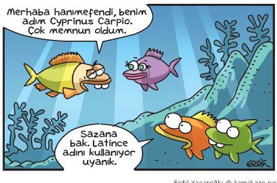 04.jpg 04.jpg
