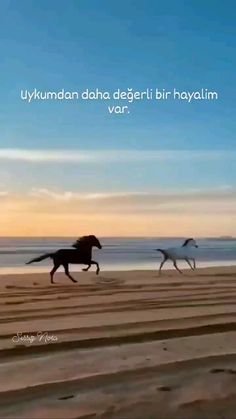 505a313fe44b37b54ae5343c8fbc298d.jpg