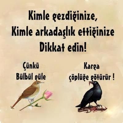 68a2fe3ab92d50722404b8495ecd6da6.jpg