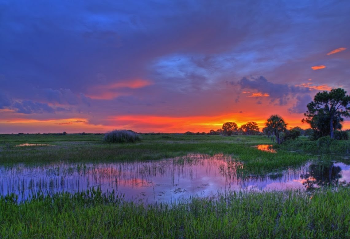 7-2-Everglades-1140x778.jpg