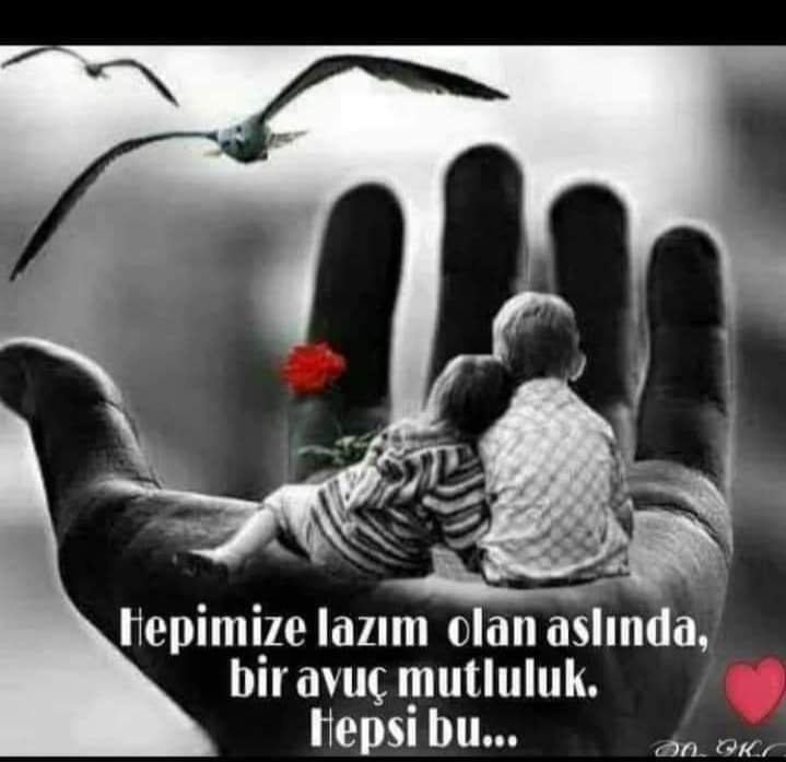 FB_IMG_1642269310301.jpg