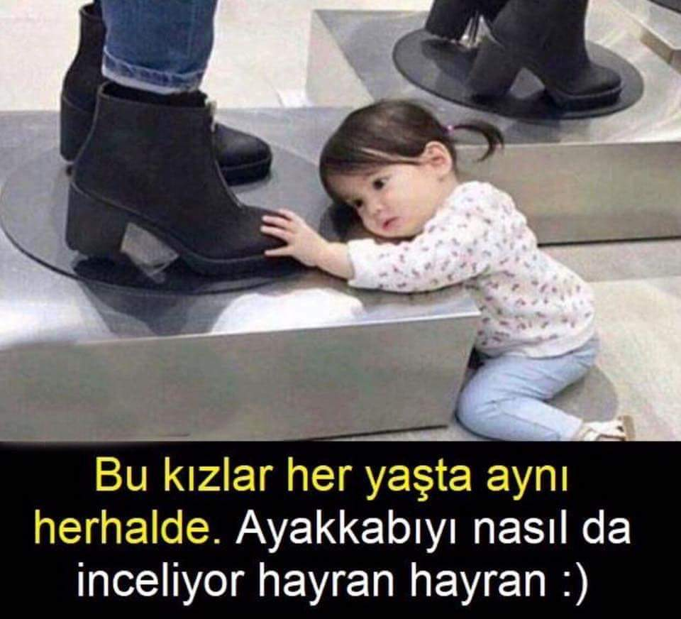 1642308217130.png