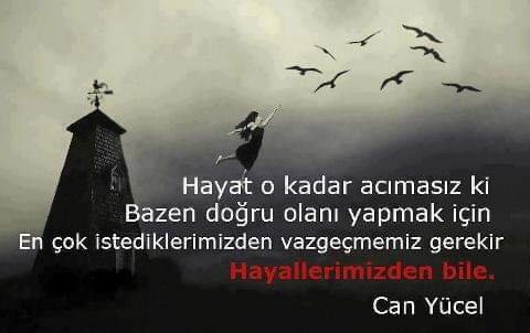 FB_IMG_1642612019386.jpg