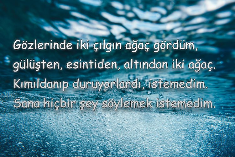 en-guzel-sozler-2021-sevgiliye-etkileyici-kisa-uzun-anlamli-romantik-ozlu-ve-guzel-sozler-1636...jpg