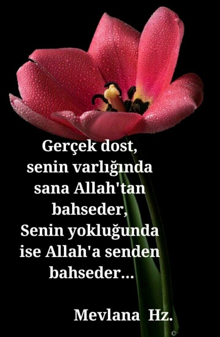 0afa22ba1a7e89f2ab0328c439f77821.jpg
