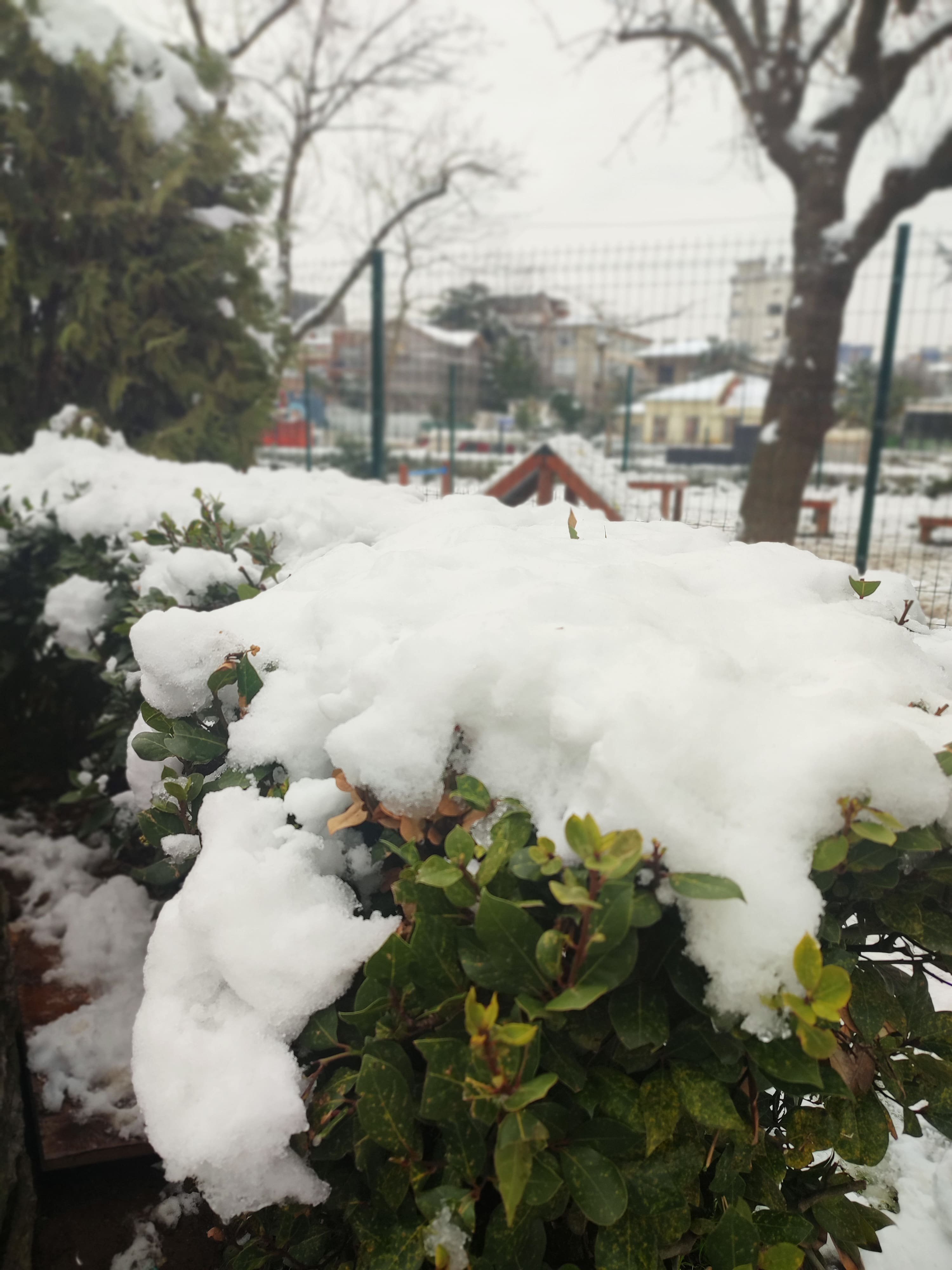 1643187589416-min.jpg