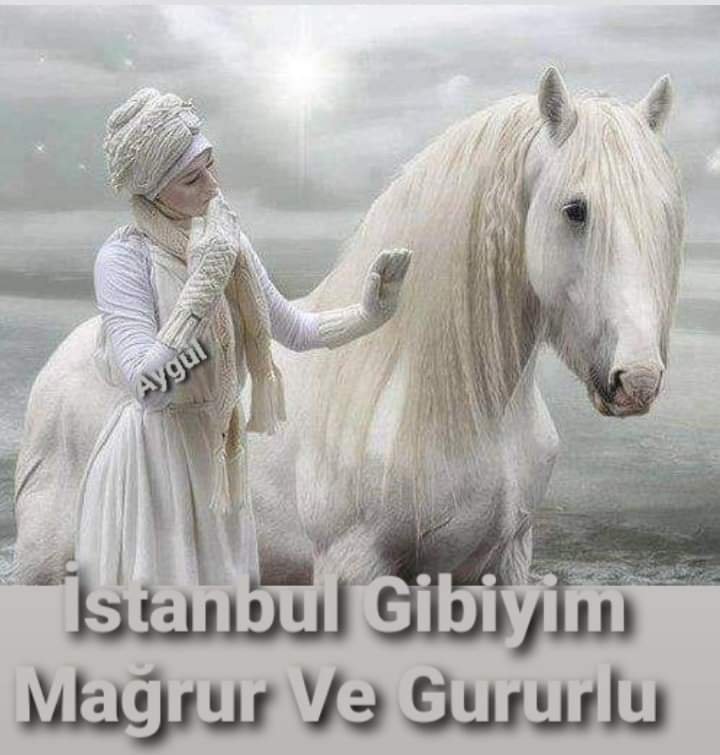 FB_IMG_1644309497128.jpg