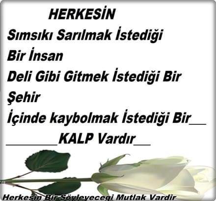 FB_IMG_1644397361127.jpg