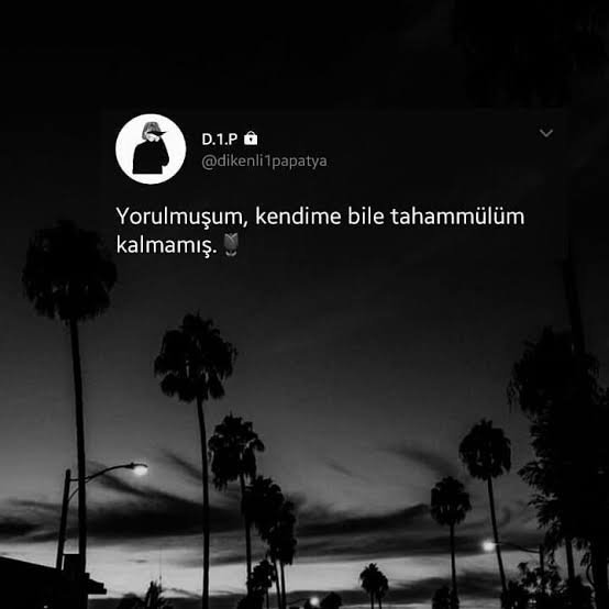 images (10).jpeg