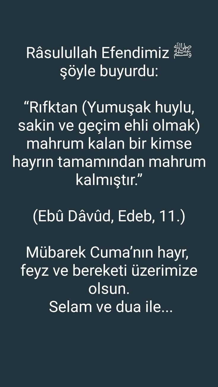 01cdbda02ecd4fd84c26c0c1436bf380.jpg