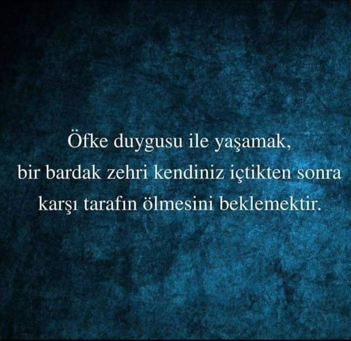 FB_IMG_1645372124081.jpg