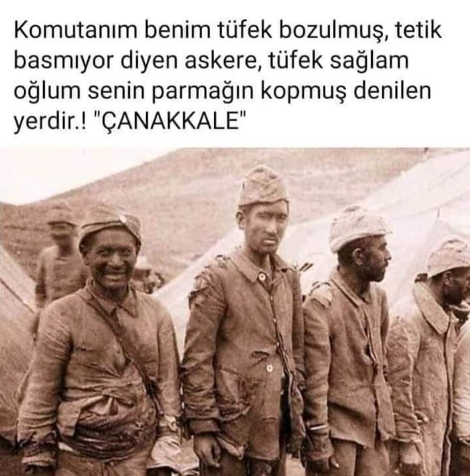 FB_IMG_1647595224552.jpg