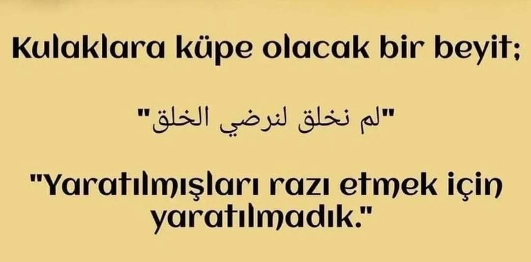 FB_IMG_1649540086515.jpg