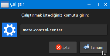 Mate Denetim Masası.png