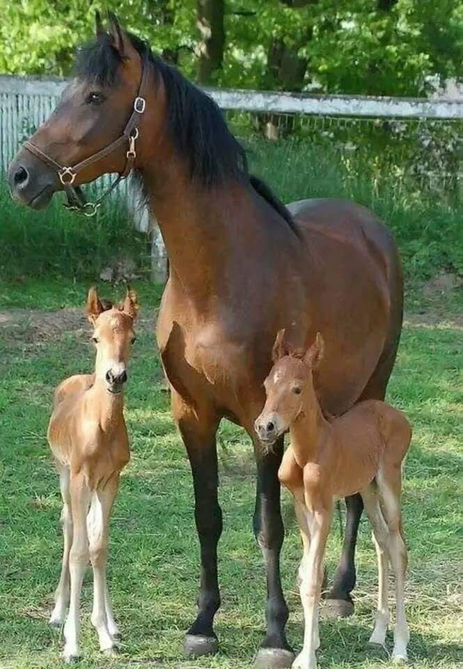 FB_IMG_1652855528482.jpg