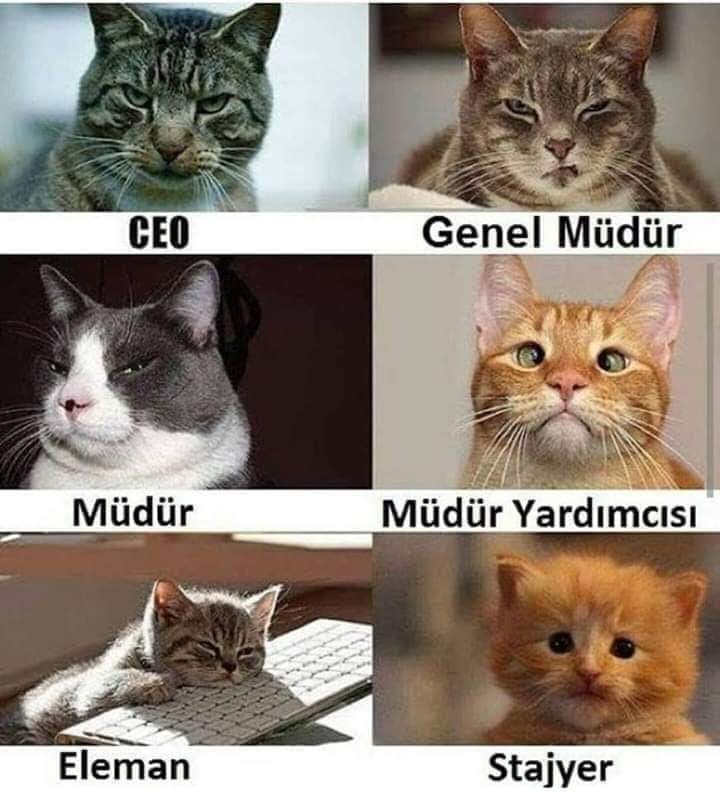 FB_IMG_1653923070091.jpg