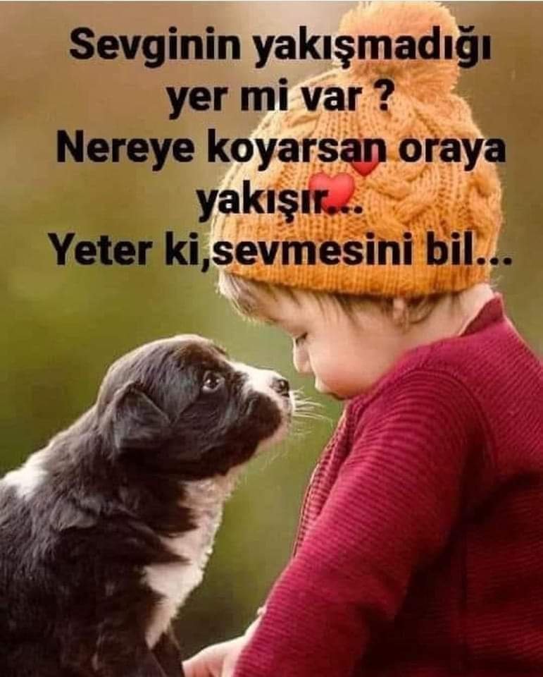 FB_IMG_1654354868578.jpg