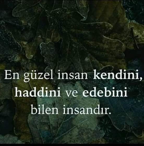 FB_IMG_1654496312029.jpg
