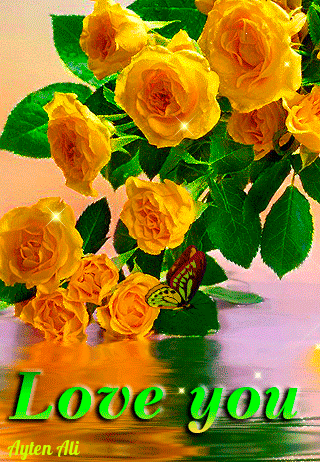 5366ab82041255026c0dbeddf293f950.gif