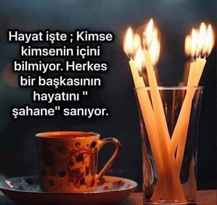 FB_IMG_1655923234465.jpg