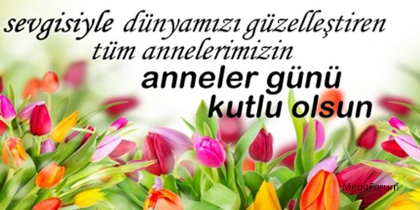 ANNE_16596.jpg