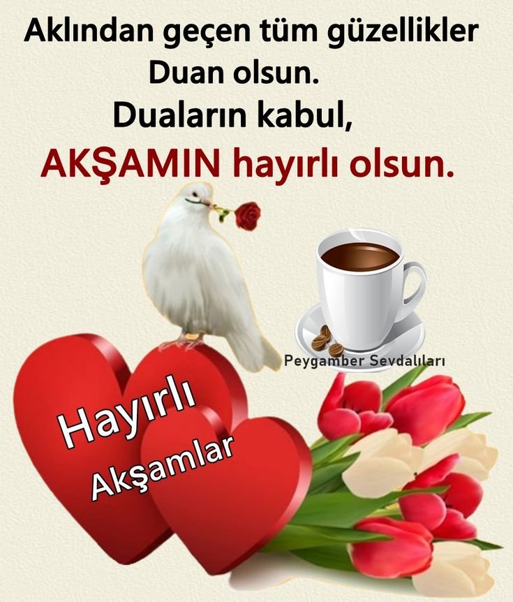 fda0c0d76b20a81fcb267825b54503b9.jpg