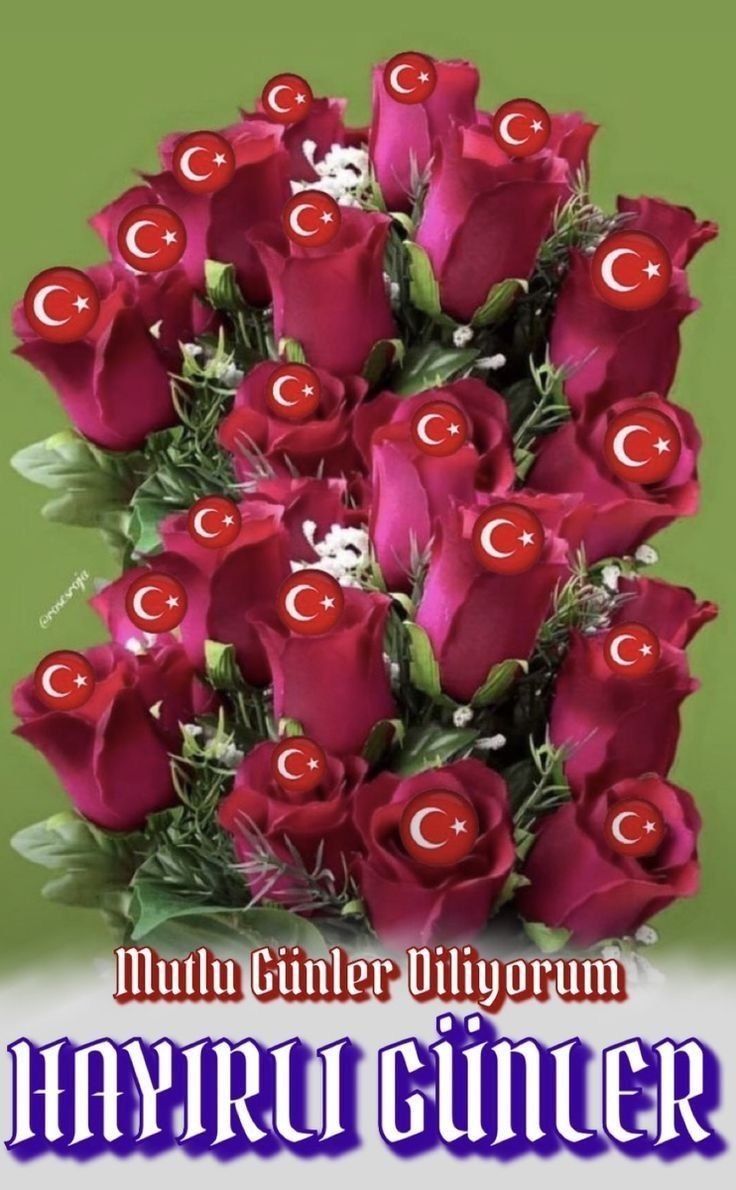b48ea76f311e57bdcfc7c076abee6ff7.jpg