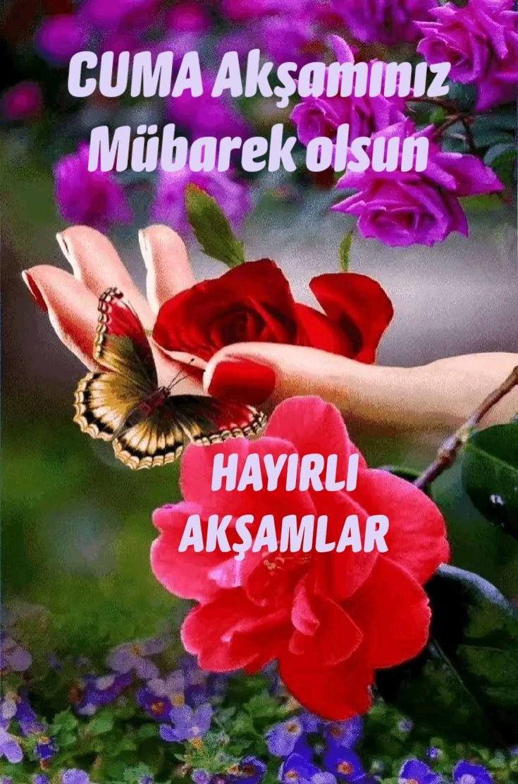 0e28362e1f7753a8cd480b54e63cd8e2 (2).jpg