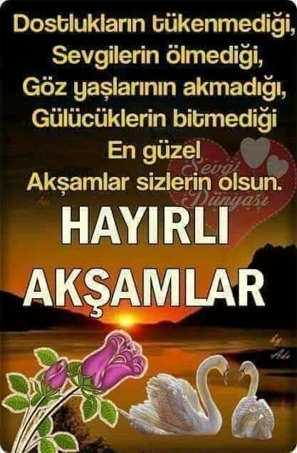 4d224a54898ad8d812855923e3b54bb3.jpg