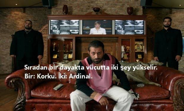 images (16).jpeg