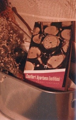 image.jpeg image.jpeg