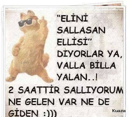 73a2ddc8806aaa8b4cf568bfbe778ccd.jpg