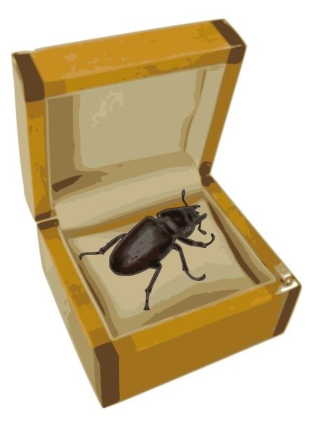 image.jpeg
