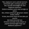 f318e70d88e8dc04743a493443e93e85.jpg