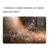 1596708334699.png