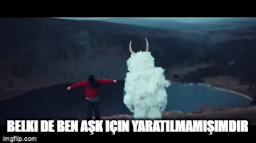 image.gif image.gif