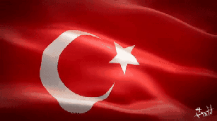 image.gif