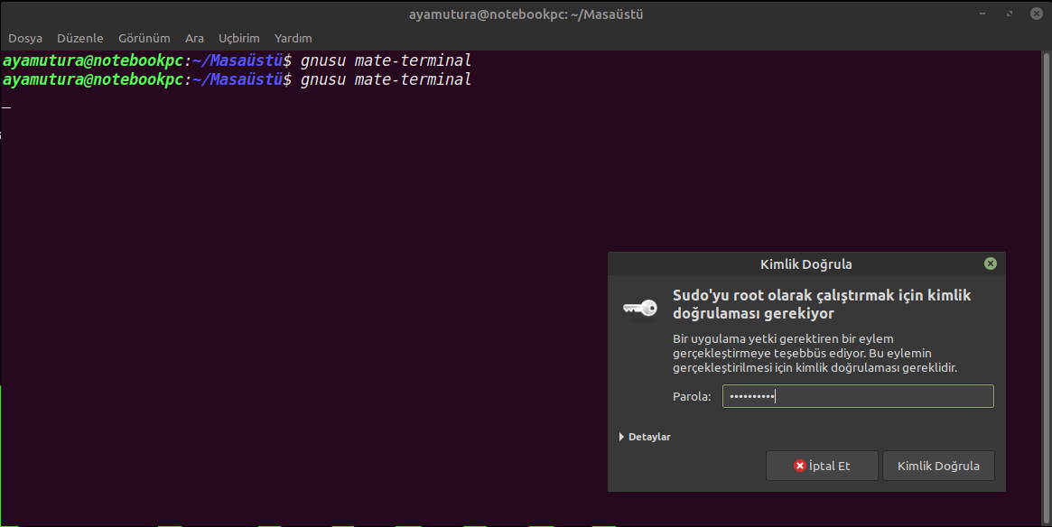 GNUSU-2.png GNUSU-2.png