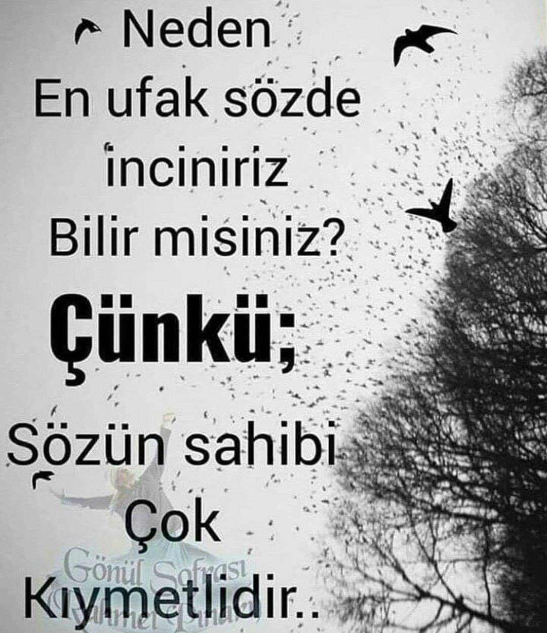 762a8fe58953de1792f3d368202a9b3a.jpg