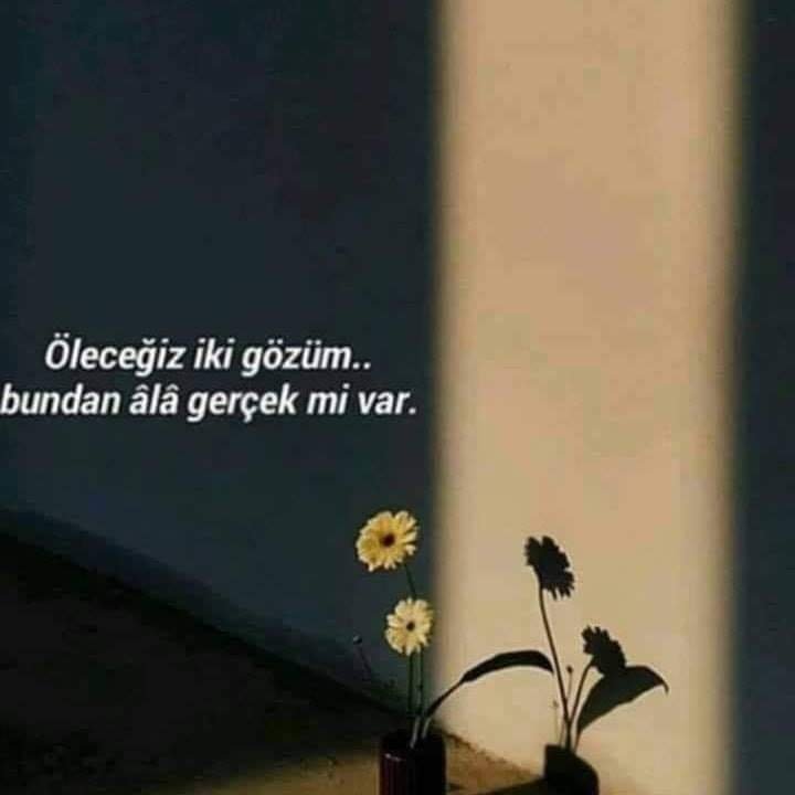 FB_IMG_1604305063929.jpg